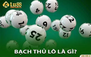 Bạch Thủ Lô Là Gì