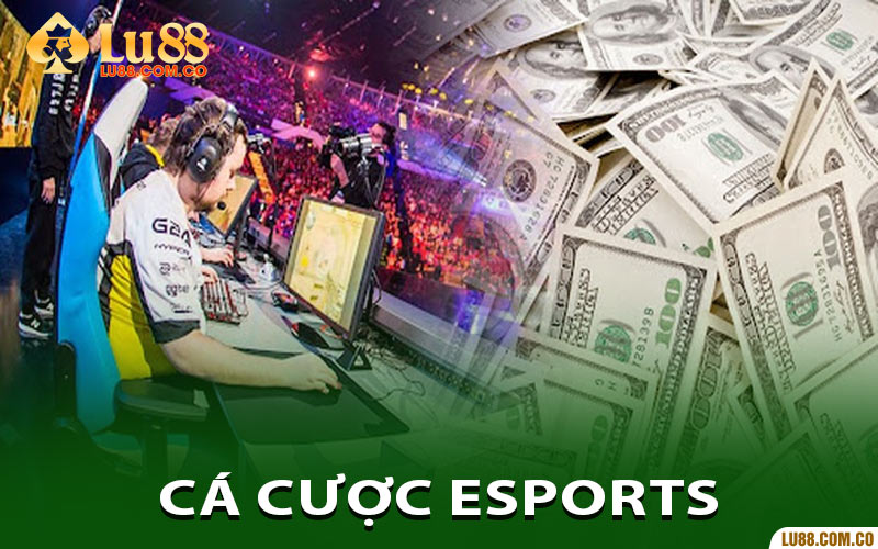 Cá Cược Esports